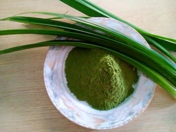 Organic Pandan Leaf powder for Herb